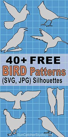 40 + free bird patterns svg, png, and silhouettes for cutting