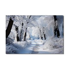 a snowy path in the woods with trees and snow on it's sides, leading to