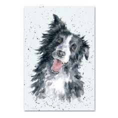 Border Collie Note Card by Wrendale Dog Breed Art, Wrendale Designs, Border Collie Dog, Dog Cards, Collie Dog, Watercolor Dog, Border Collies, Watercolour Art