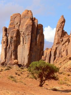 some very big rocks in the desert with a small tree growing out of it's middle