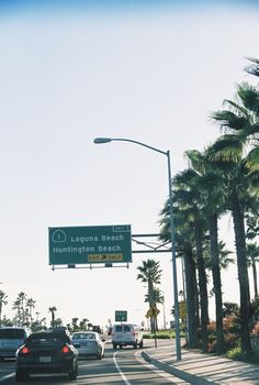 cars are driving down the street in front of palm trees and a sign that says la joque beach municipal beach