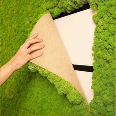 a person is holding a piece of fabric over some green moss