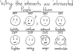 Isfp Estj, 16 Personality Types, The 16 Personality Types, Infj Type, Intp Personality, Intj Intp, Intj Personality