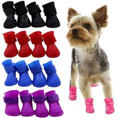 a small dog standing next to several pairs of shoes and boots with different colors on them