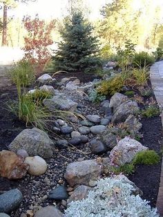 a garden with rocks and plants on the side of the road in front of some trees