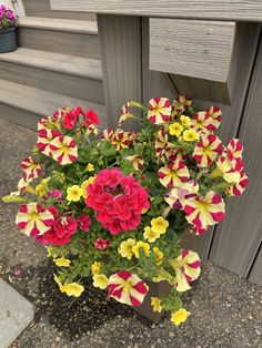 a potted plant with red, yellow and pink flowers sitting next to a wooden bench