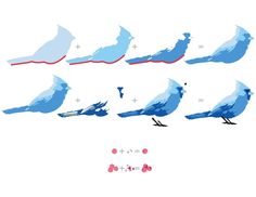 the blue birds are different sizes and colors