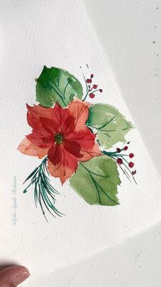 How to paint a Pointeseta. Beginner Watercolor Tutorial #watercolors #howtopaint - YouTube Poinsettia Painting Watercolors, Drawing Ideas Flowers Beautiful, How To Paint A Poinsettia, Acrylic Winter Painting Ideas, Watercolour Pointsettia, Poinsettia Flower Painting, How To Paint Poinsettias, Pointsetta Watercolor, Poinsettia Watercolor Paintings