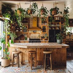 a kitchen with lots of potted plants on the wall and an island in the middle