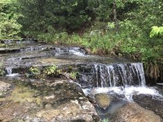 a small waterfall in the middle of a forest