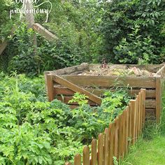 the garden is full of vegetables and plants growing in it's wooden box bed