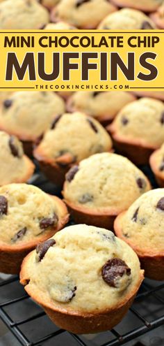 Having a Mother's Day brunch at home? This mini muffin recipe is quick and easy! In just 20 minutes, you can whip up a batch of these Mini Chocolate Chip Muffins that are moist and flavor-packed. Put them on your Easter brunch menu first! Mini Choc Chip Muffins, Mini Muffins Chocolate Chip, Little Debbie Mini Muffins Recipe, Little Bites Muffins Copycat, Chocolate Chip Muffins Mini, Homemade Muffins Easy, Banana Bread Mini Muffins, Mini Muffin Recipe