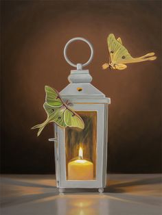 This artwork features a pair of Luna Moths attracted to a flame in a white candle lantern. Lauren Pretorius, Luna Moths, White Candle, Candle Lantern, Luna Moth, Visual Artwork, Candle Lanterns, Whimsical Art, Original Oil Painting