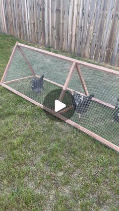 two chickens in a chicken coop on the grass