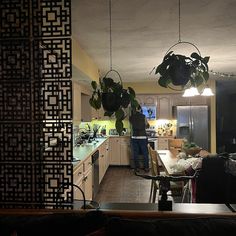 a man standing in a kitchen next to a dining room table with chairs and potted plants hanging from the ceiling