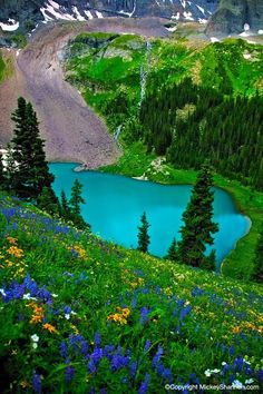 there is a blue lake surrounded by green hills and flowers in the foreground with snow capped mountains in the background