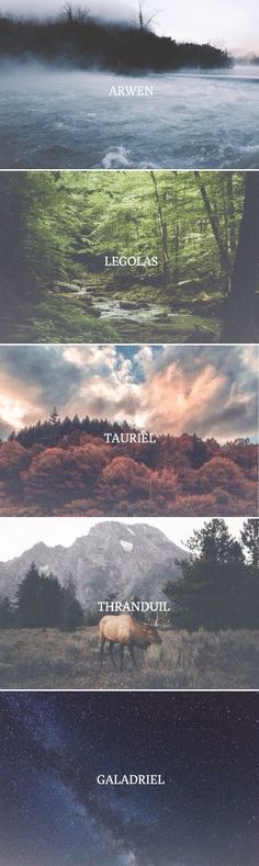 four different types of clouds in the sky with trees and mountains behind them, all on one side