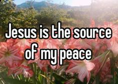 the words jesus is the source of my peace are surrounded by pink flowers and greenery