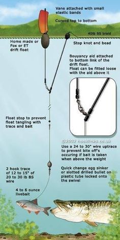 an image of a fish being hooked up to a fishing line with instructions on how to hook it