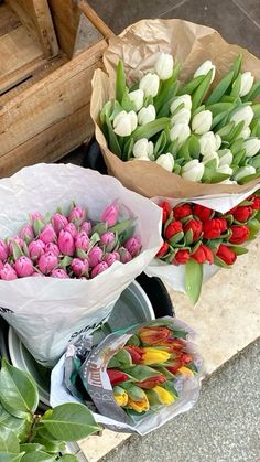 three bouquets of tulips are sitting on the ground next to each other