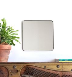 a potted plant sitting on top of a wooden shelf with a mirror above it