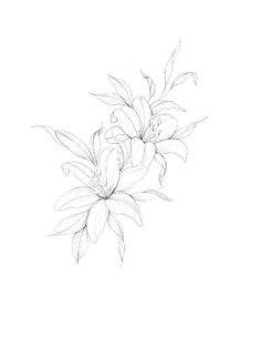 a pencil drawing of some flowers on a white background