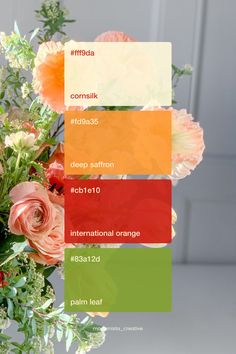 Natural summer 2024 color palette inspiration | Visual identity design Passionate Color Palette, Color Palette Red Green, 2024 Color Palette, Summer 2024 Color, Color Palette Summer, Red Color Palette, Innovative Logo, Color Palette Inspiration, Color Design Inspiration