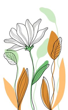 an orange and white flower with green leaves