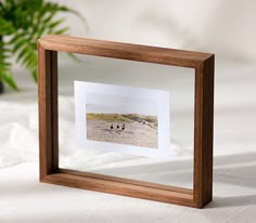 a wooden frame holds a photograph of three birds on the beach in front of a potted plant