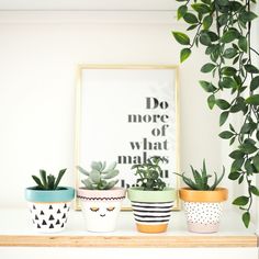 four potted plants are sitting on a shelf next to a framed poster and planter