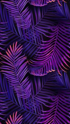 purple and pink palm leaves on a black background