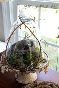 a glass clochet with moss and twigs in it sitting on a table next to a window