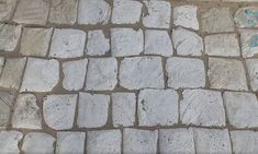 a close up of a stone walkway with blue flowers on it