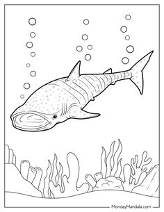 a shark swimming in the ocean coloring page