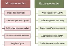 two different types of macroonomics and macroonoics are shown in this diagram