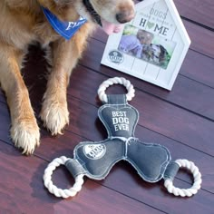 a dog is sitting on the floor next to his toy