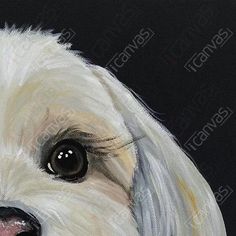 a painting of a white dog with black eyes