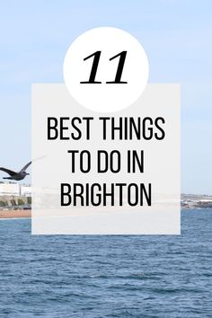 the words 11 best things to do in brighton, england with seagulls flying overhead