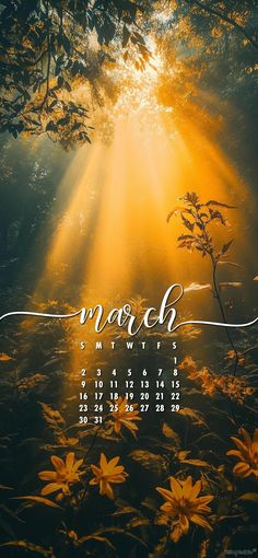 a desktop calendar with the sun shining through trees and flowers in the foreground, which reads wordh