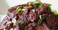 beef and rice on a plate with green onions