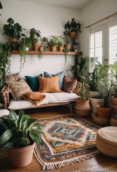 a living room filled with lots of plants and potted plants on top of shelves