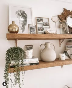 a shelf filled with books and vases on top of wooden shelves next to plants