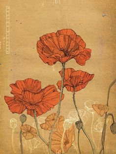 two red flowers on a beige background