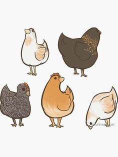 four different types of chickens are shown in this drawing, one is brown and the other is white