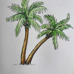 a drawing of two palm trees on a white paper with watercolor and pencils