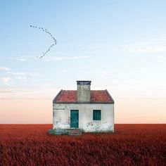 an old house in the middle of a field with a bird flying over its roof