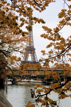 the eiffel tower is seen through some trees