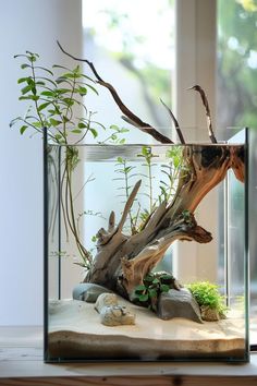 an aquarium filled with plants and rocks on top of a wooden table next to a window