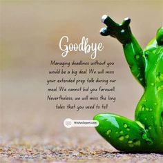 a green frog sitting on the ground with its legs spread out and it is saying goodbye