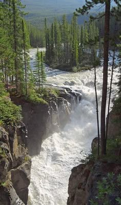 the water is rushing down the side of the cliff in the wilderness, with trees on both sides